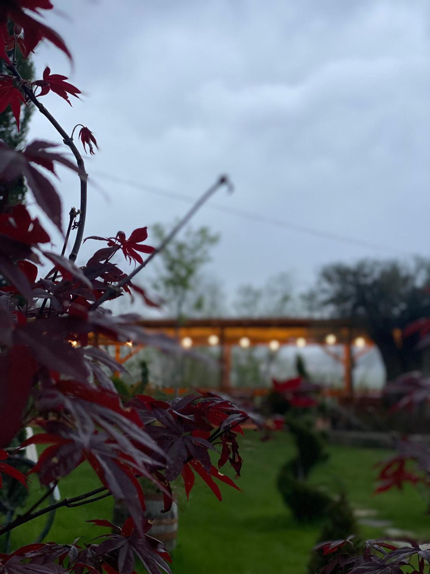 Hotel Restaurant Natyra E Qete Lezhë Esterno foto